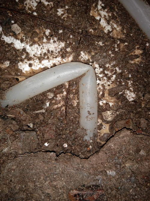 仙居堵点精准查找